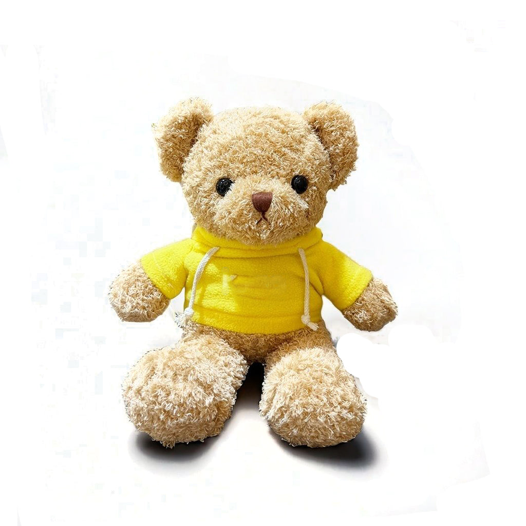 Plush Teddy Bear