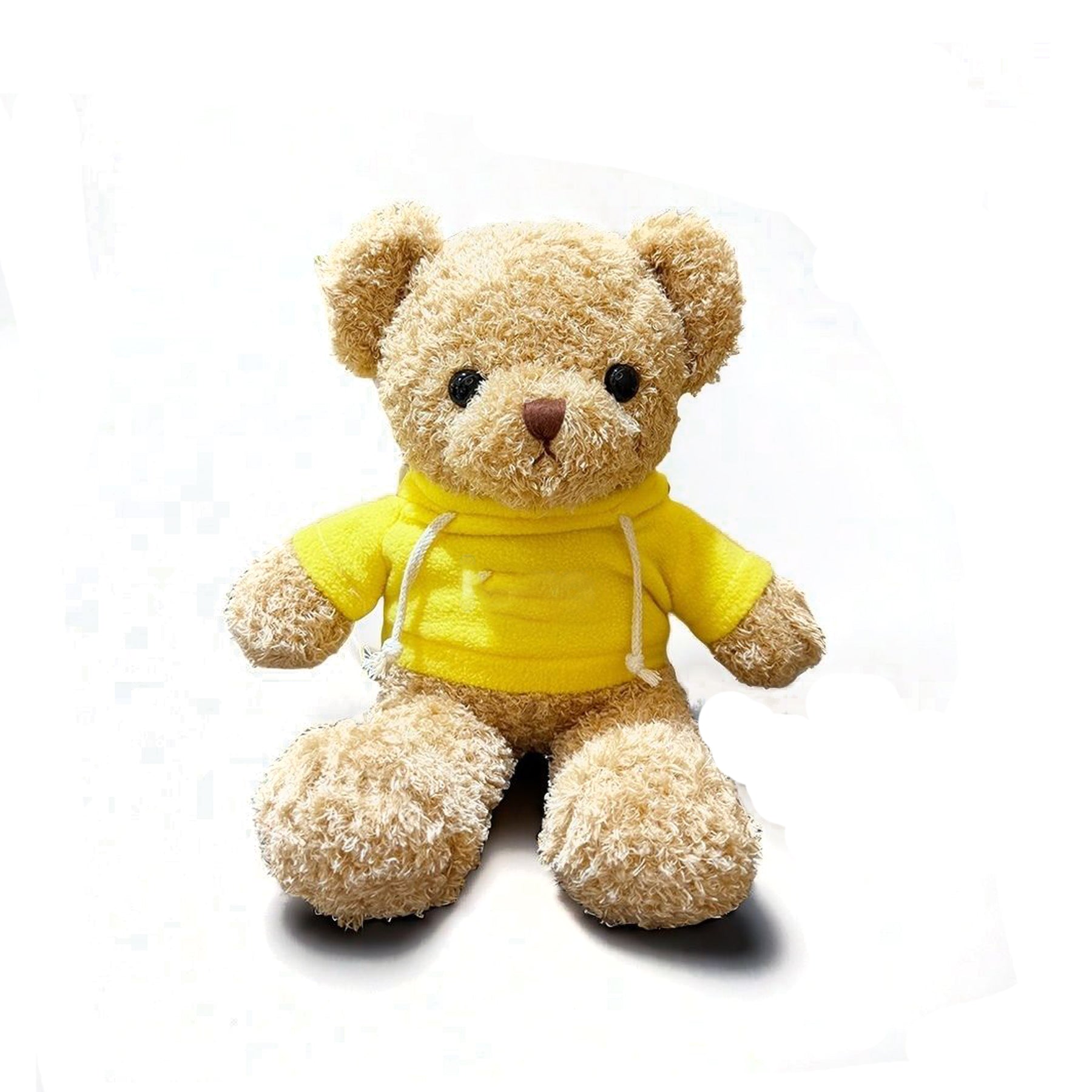 Plush Teddy Bear