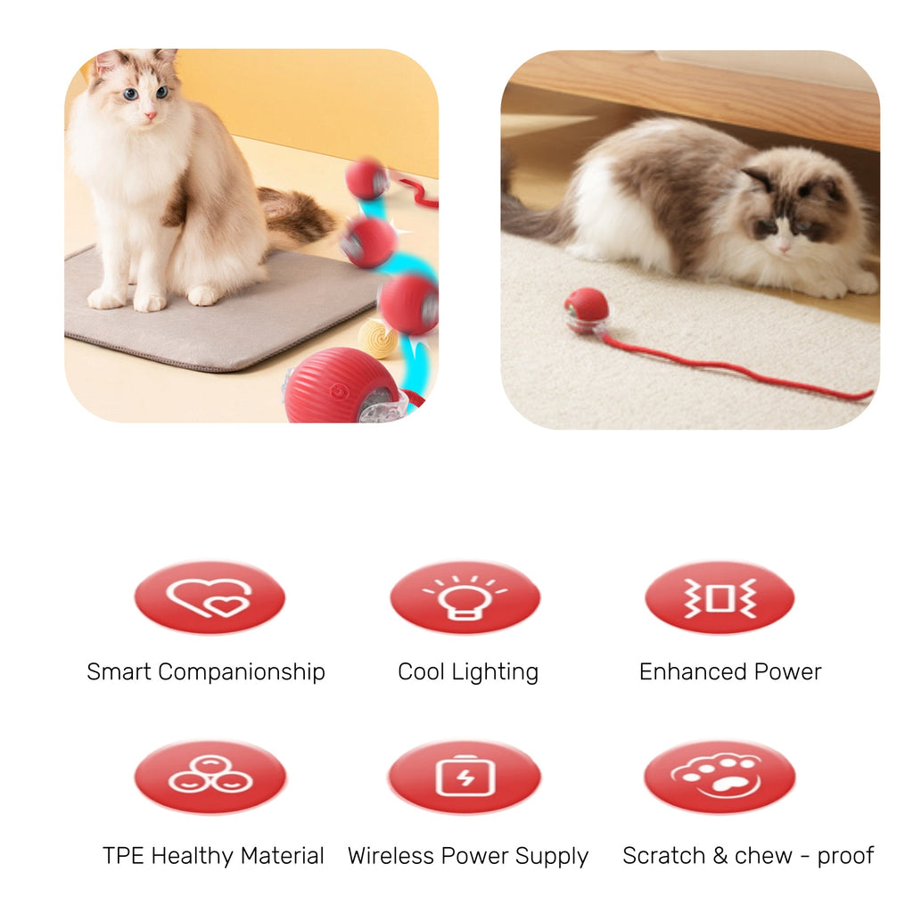 Chew - Resistant Automatic Cat Toy Ball