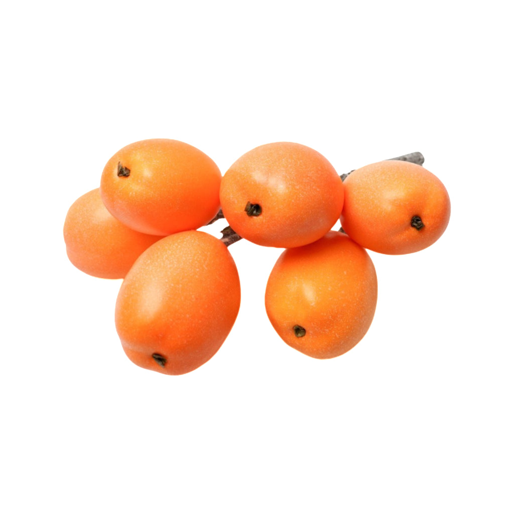 Realistic Artificial Fruits For Photography