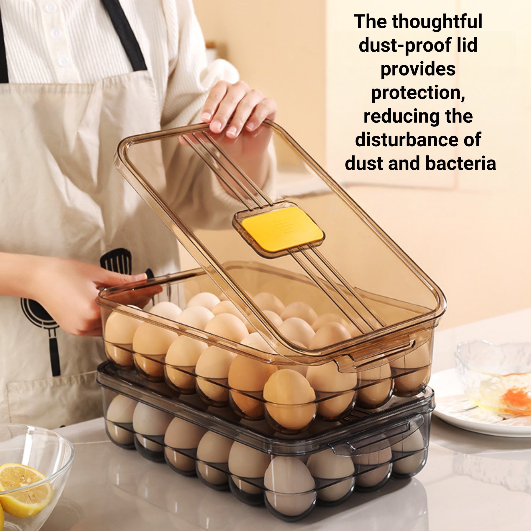 Food-Grade PET Refrigerator Fresh-Keeping Egg Storage Box