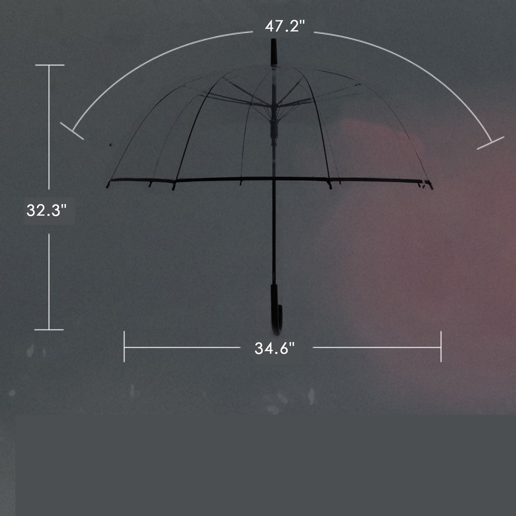 Bubble Clear Umbrella