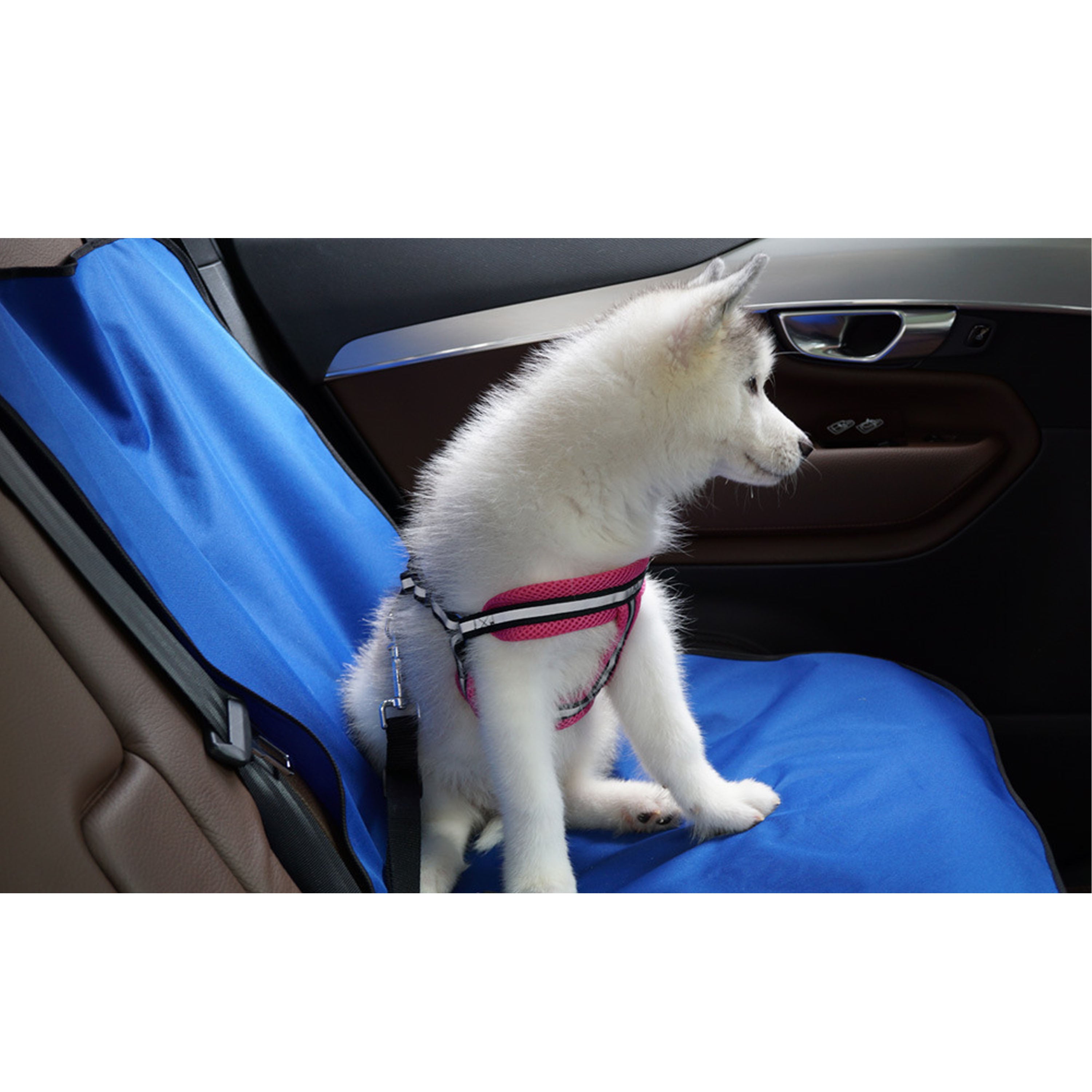 Dog Seat Cover Rear Seat Protector