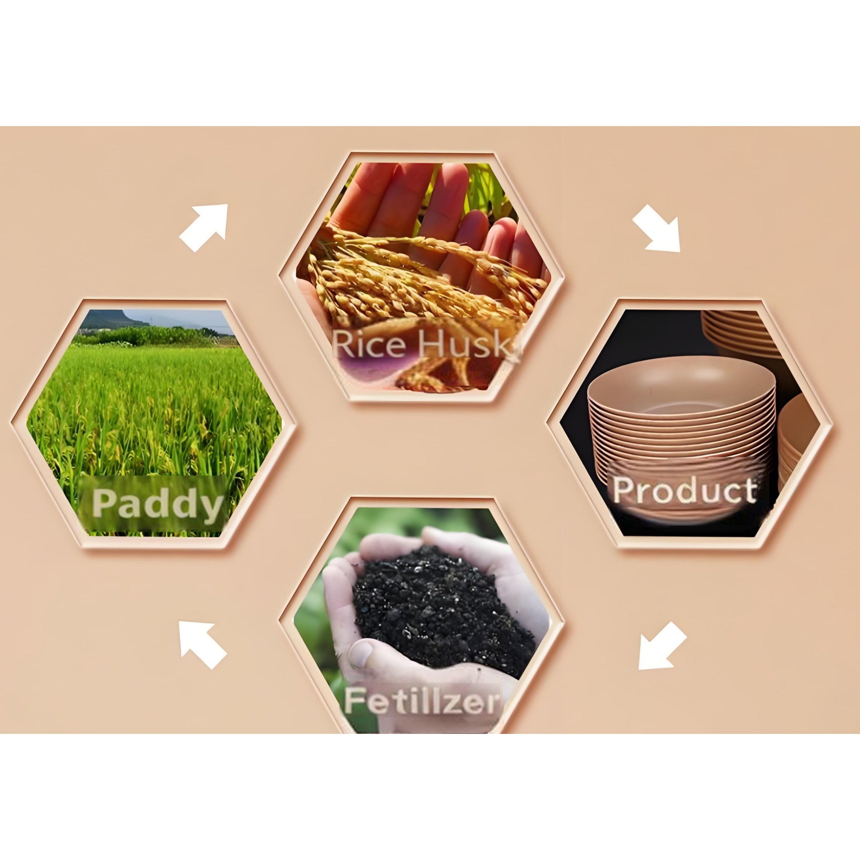 Disposable Rice Husk Tableware Set