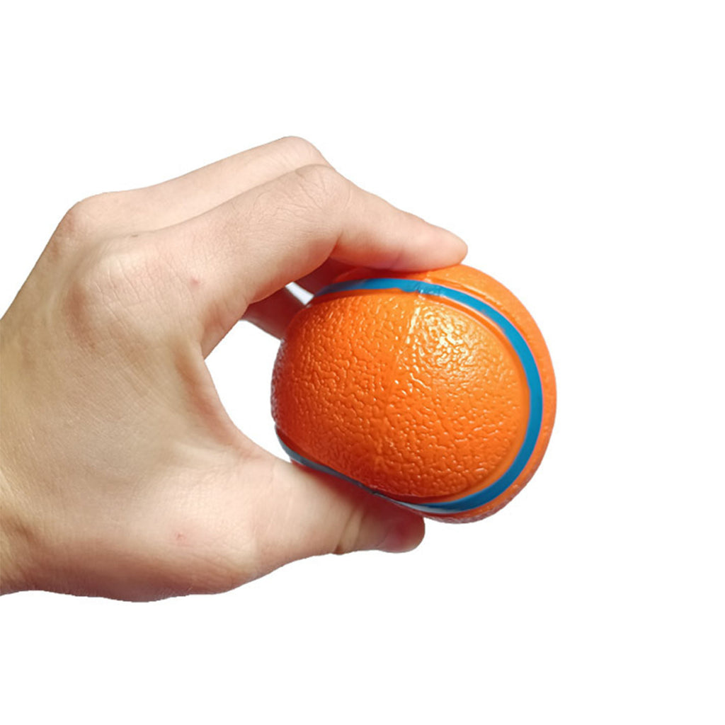 Bouncy Fetch Ball For Dogs
