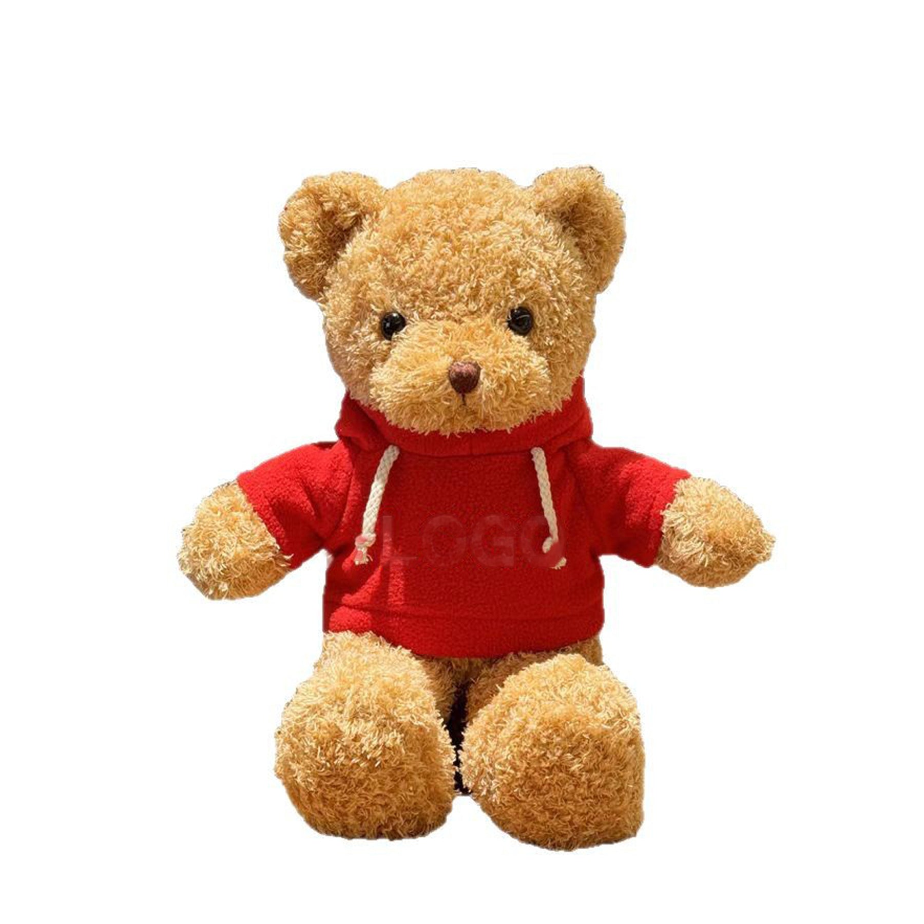 Plush Teddy Bear