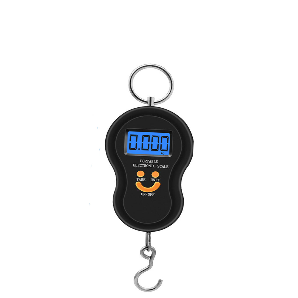 Portable Handheld Spring Weighing Scale