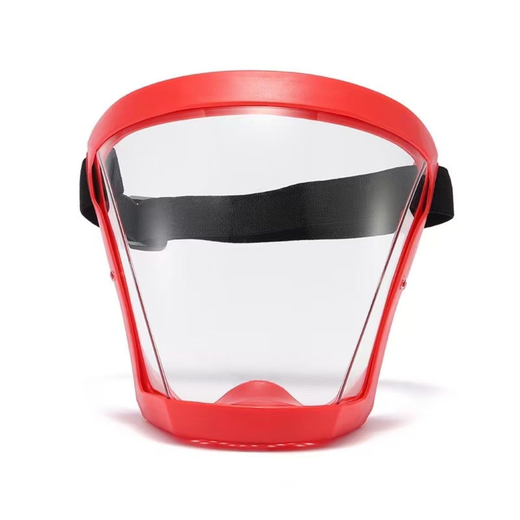 Full-Face Protective Mask