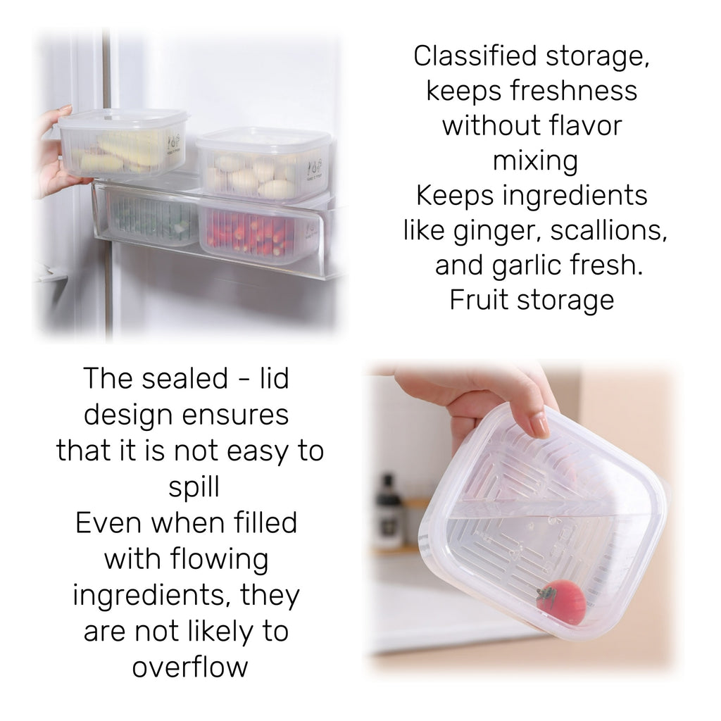 Transparent PP - Material Storage Box