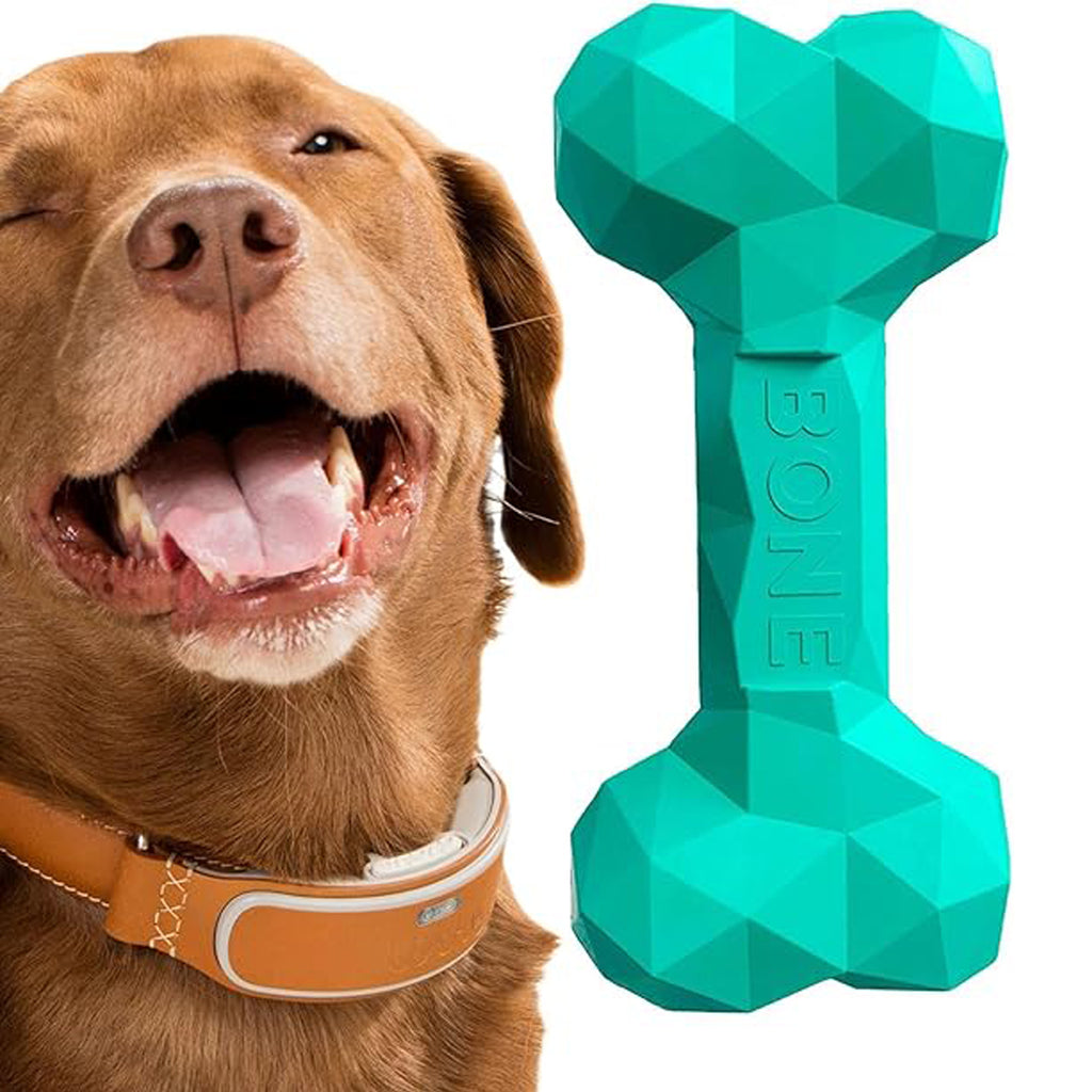 Dog Bone Chew Teething Toy