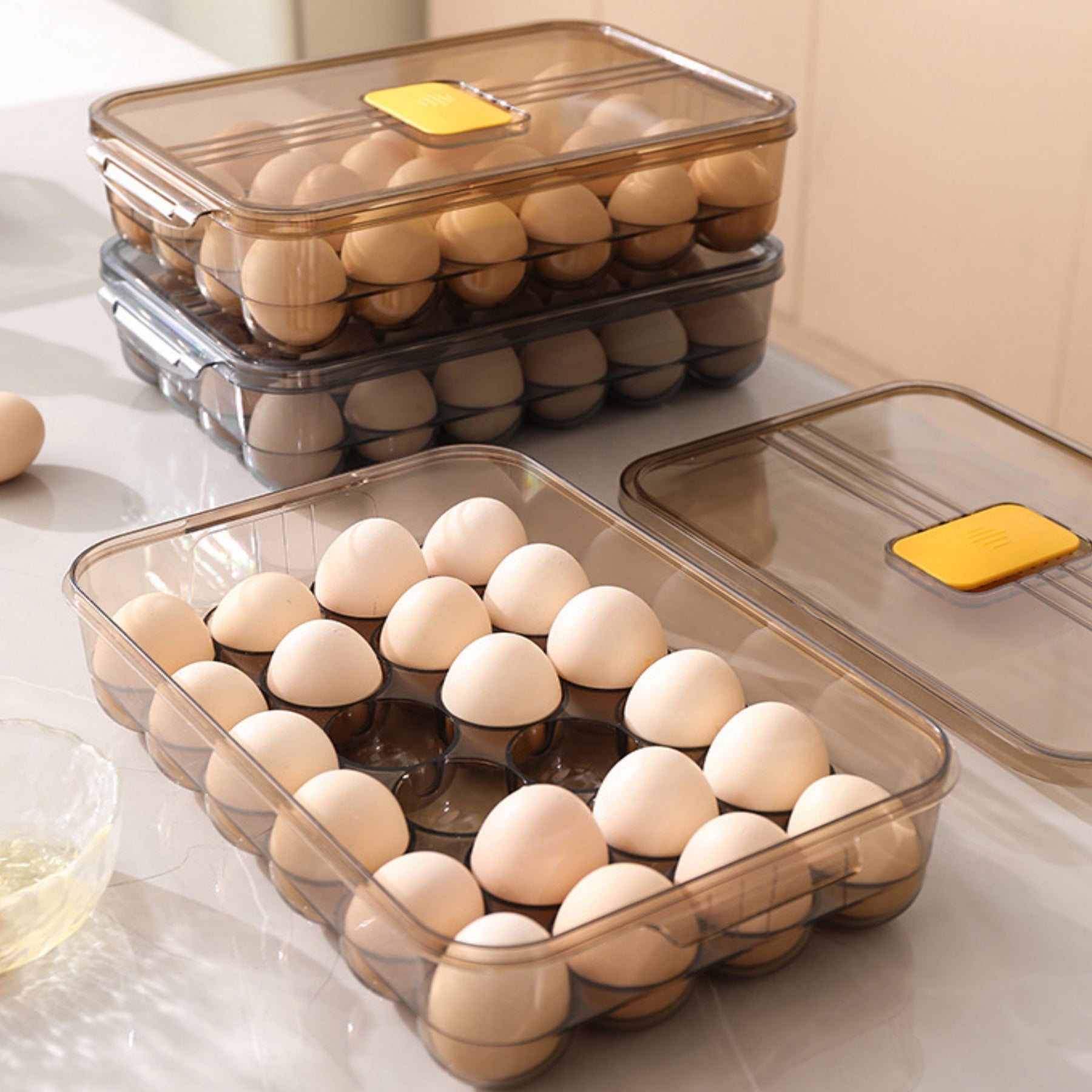 Food-Grade PET Refrigerator Fresh-Keeping Egg Storage Box