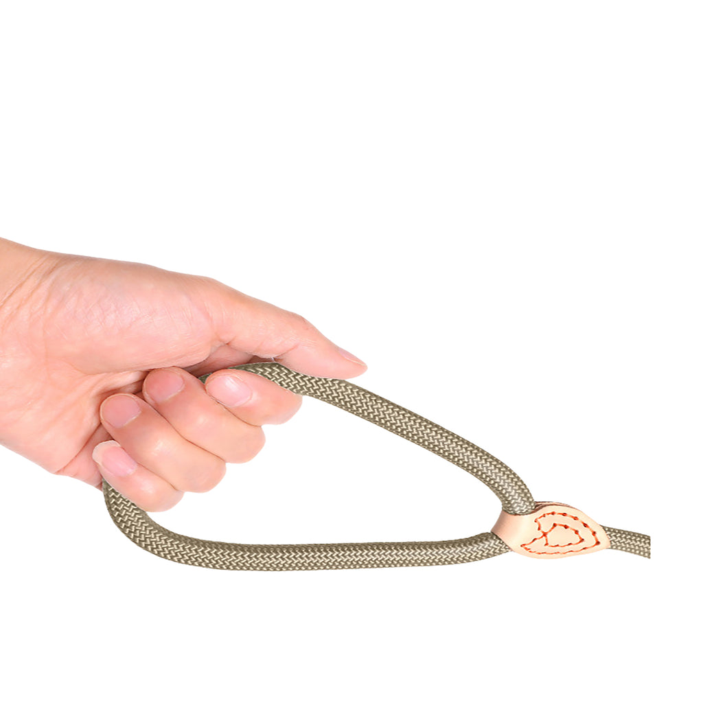Pet Leash