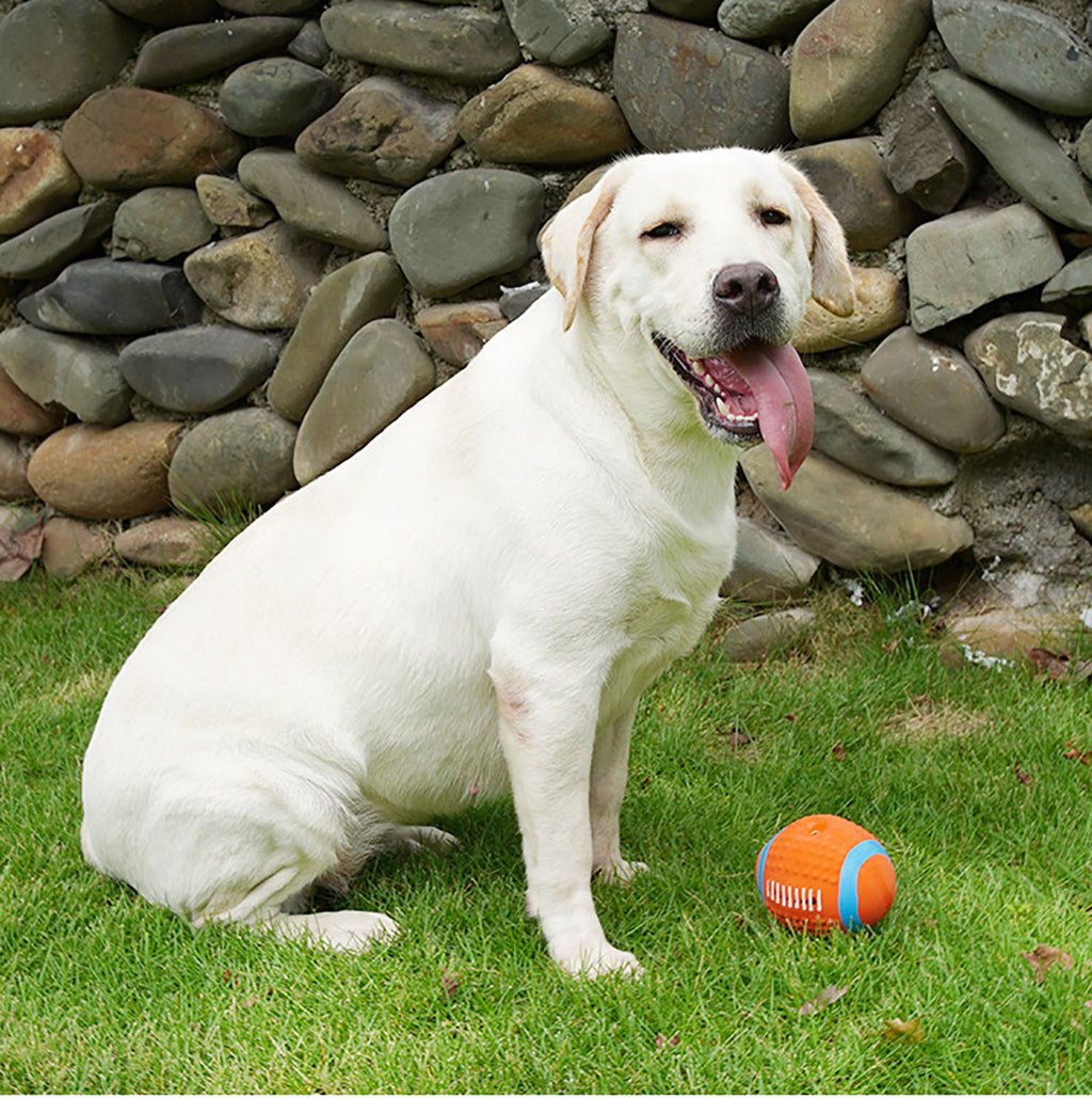 Latex Football Puppy Chew Toy with Funny Sound