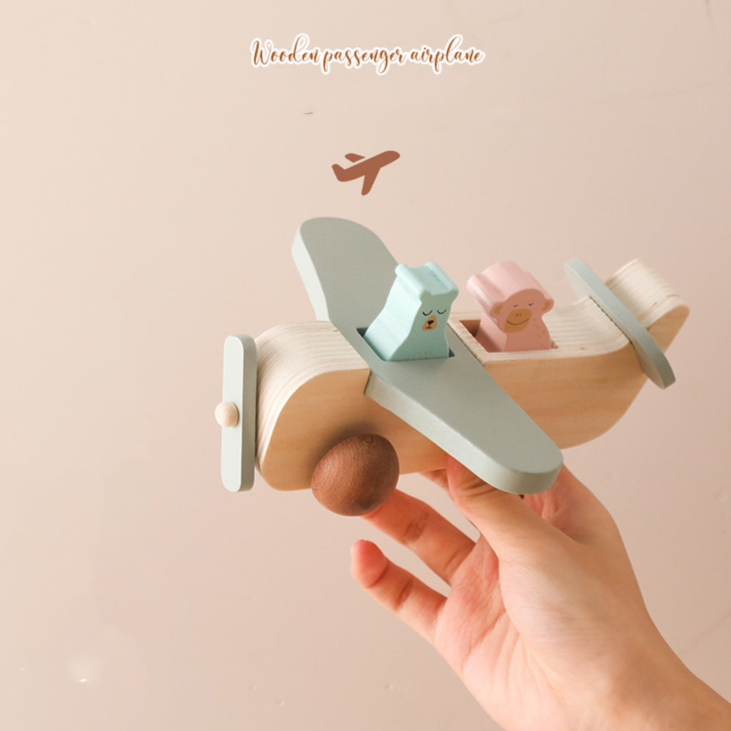 Wooden Passenger Aircraft