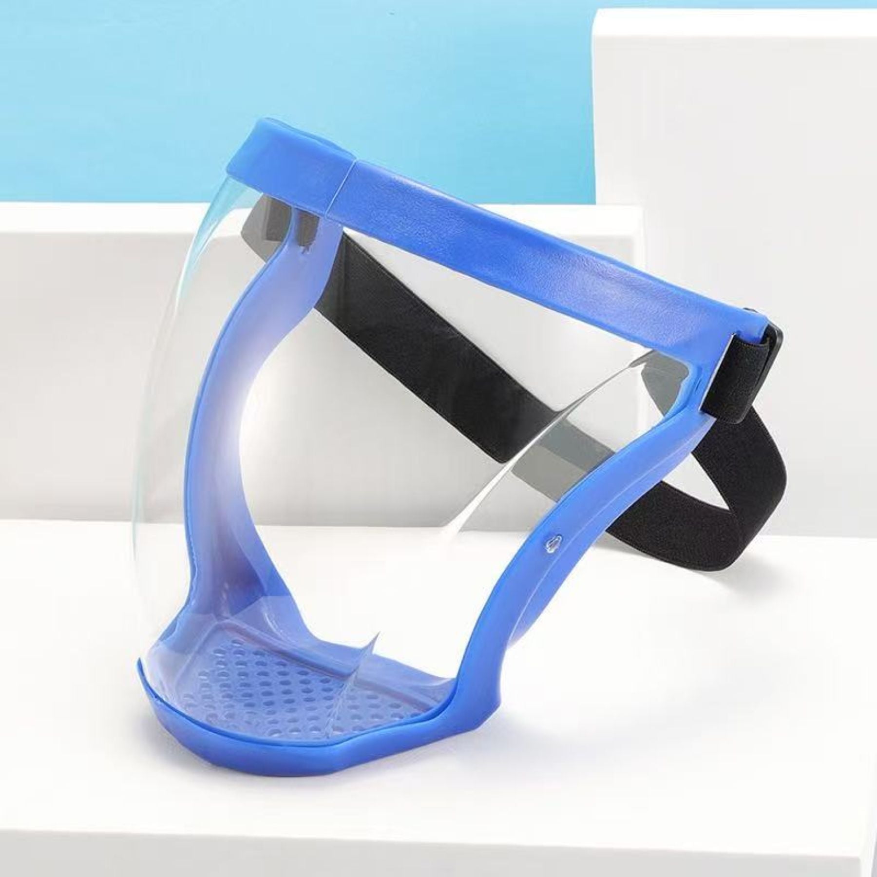 Full-Face Protective Mask