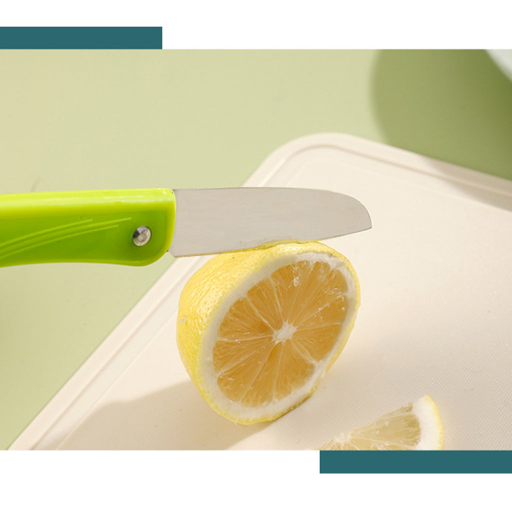 Stainless Steel Folding Fruit Knife