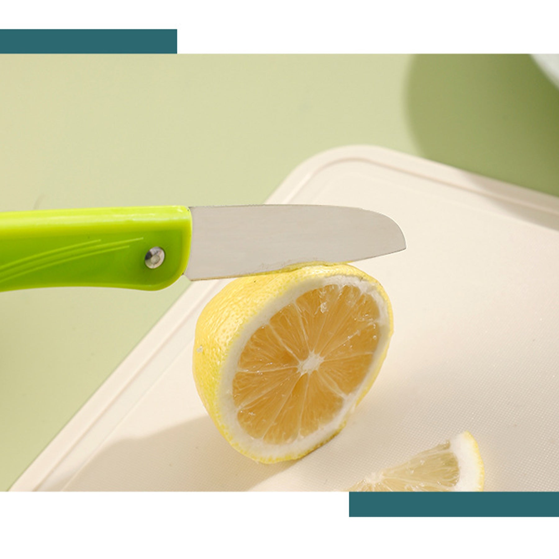 Stainless Steel Folding Fruit Knife