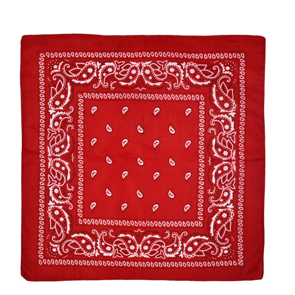 Paisley Pattern Bandanas Face Mask Square Scarf Headwear