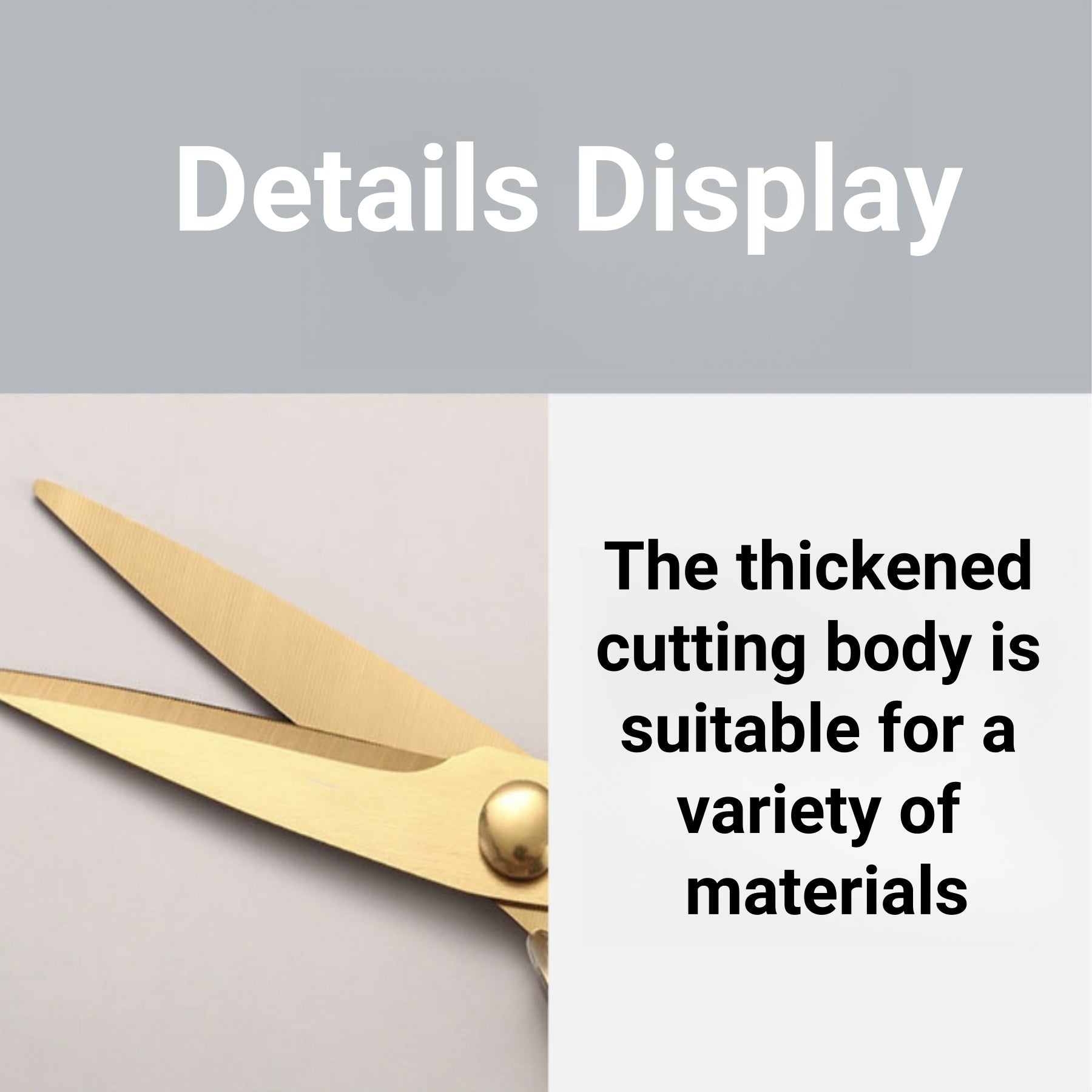 Multifunctional Acrylic Scissors