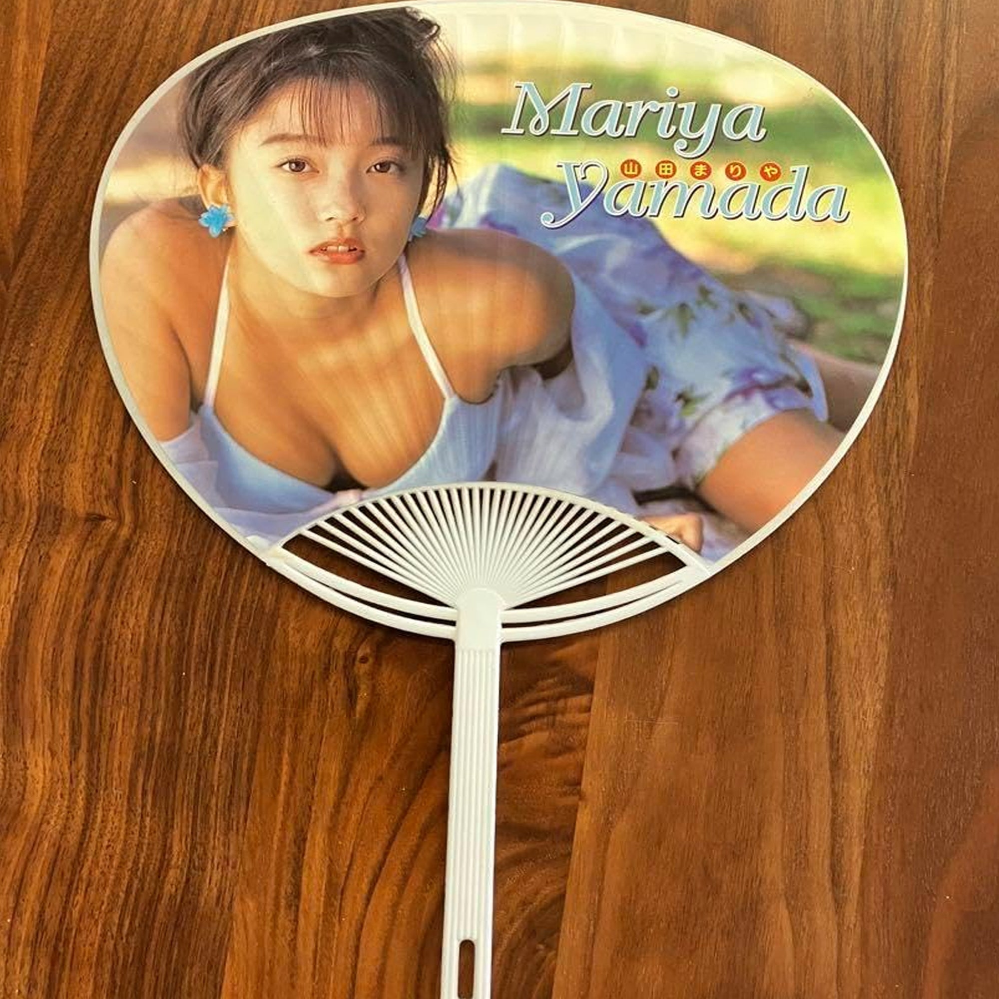 Customizable Advertising Fans