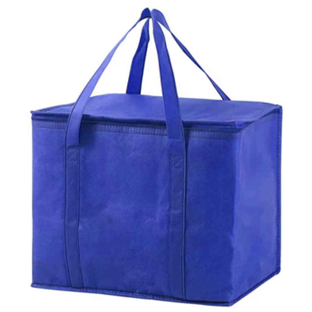 Camping Lunch Insulated Cooler Tote Bag