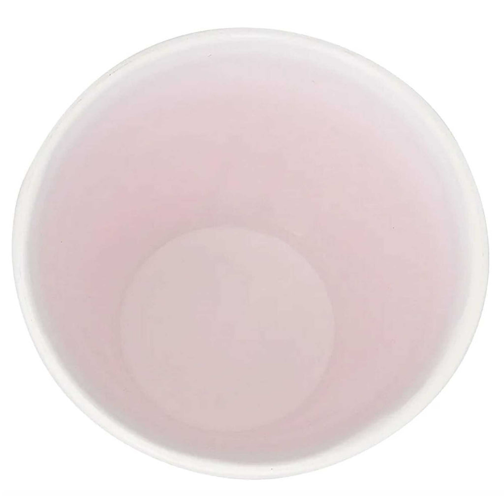 Double Wall Plastic Party Stadium Cups