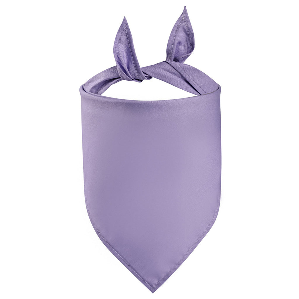 Large Full Color Pet Triangle Bandannas