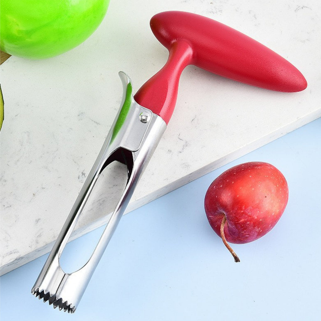 Stainless Steel Fruit Pitter