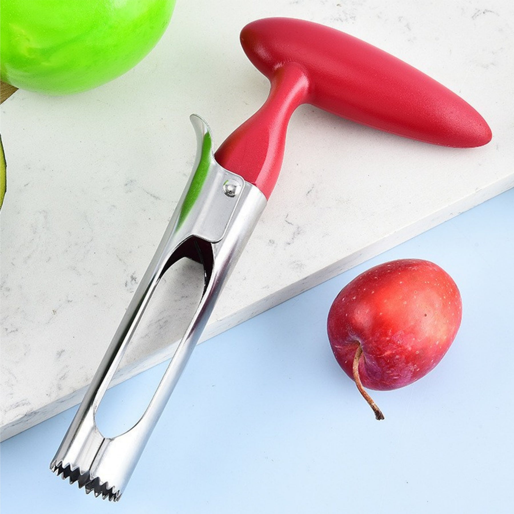Stainless Steel Fruit Pitter