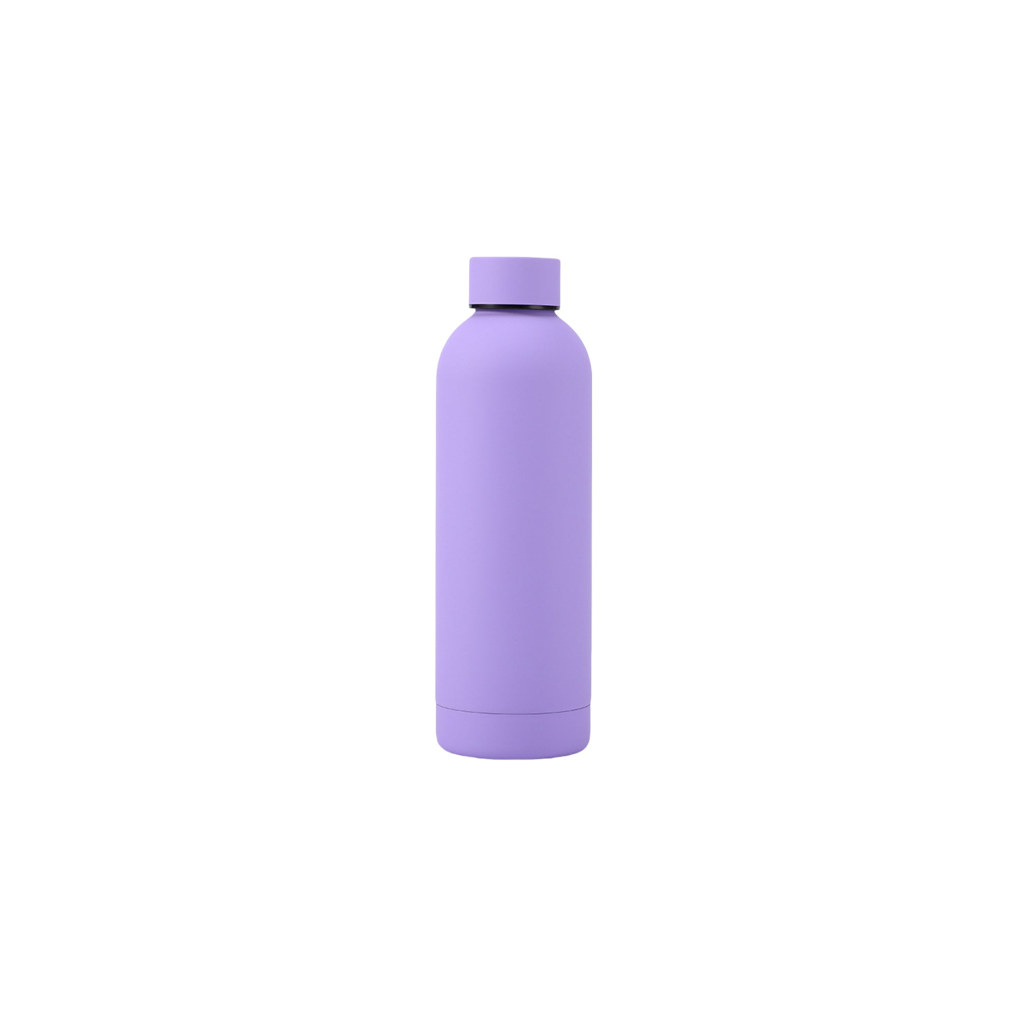 304 Stainless Steel 500ml Slim-Mouth Insulated Water Bottle
