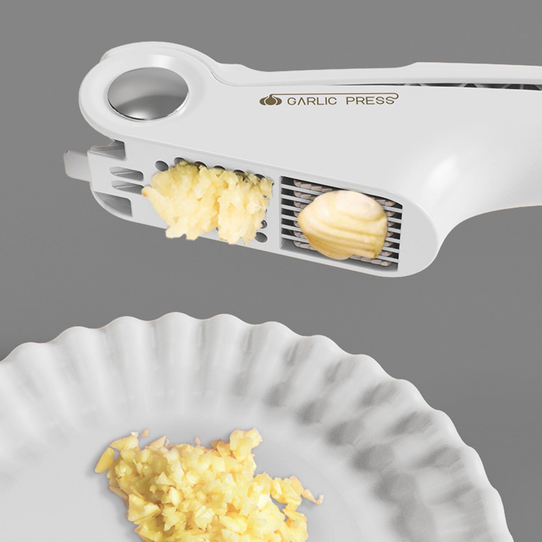 Garlic Press Machine