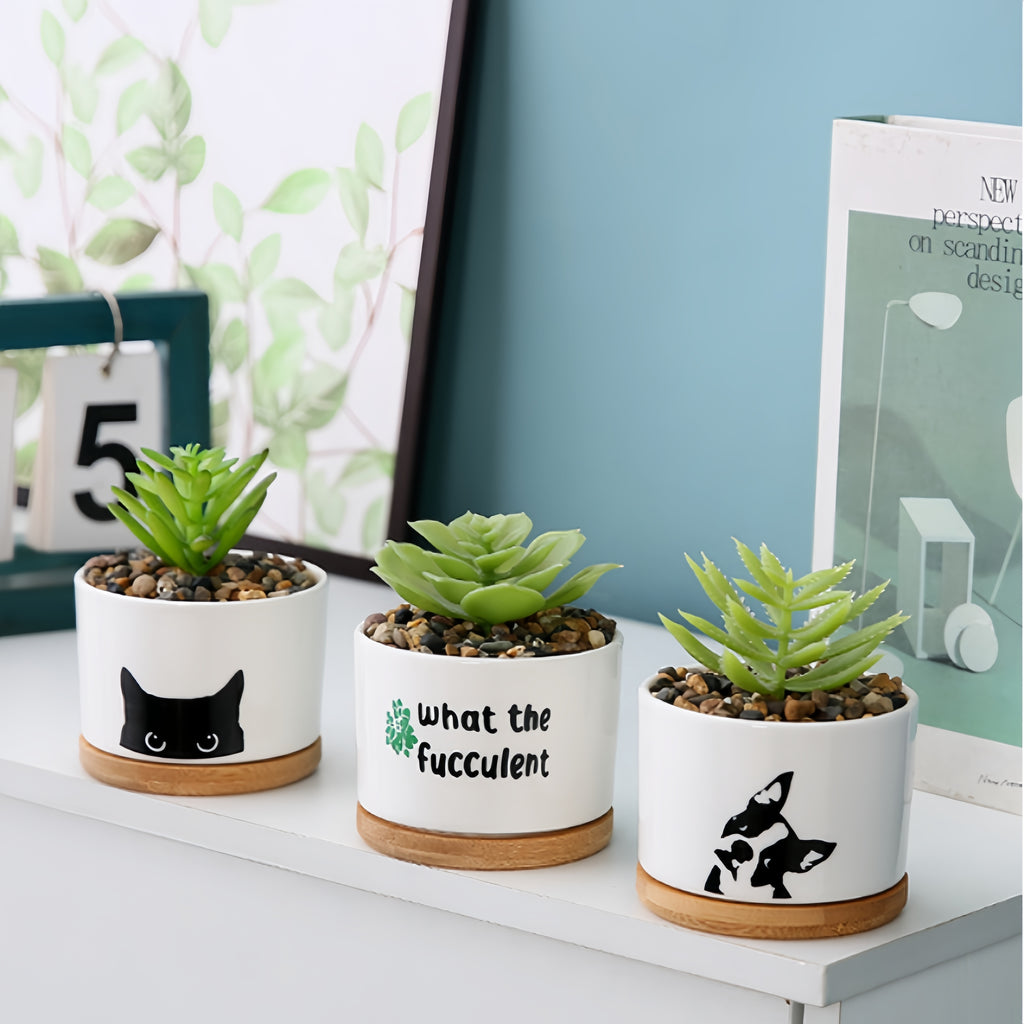 Desktop Ceramic Plant Pot