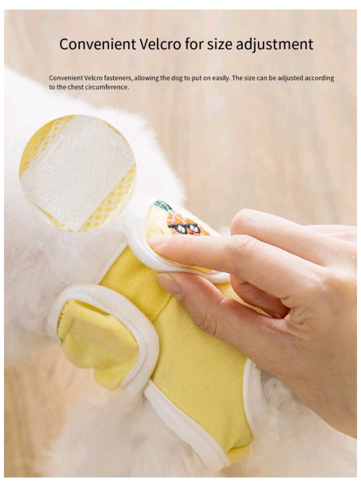 Female Dog Diapers For Heat Cycle