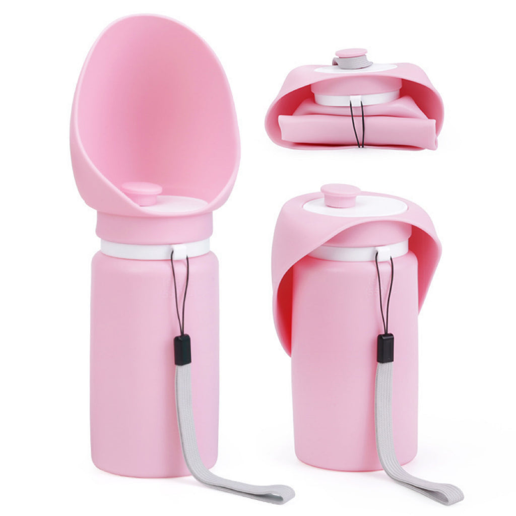 19oz Portable Pet Water Bottle