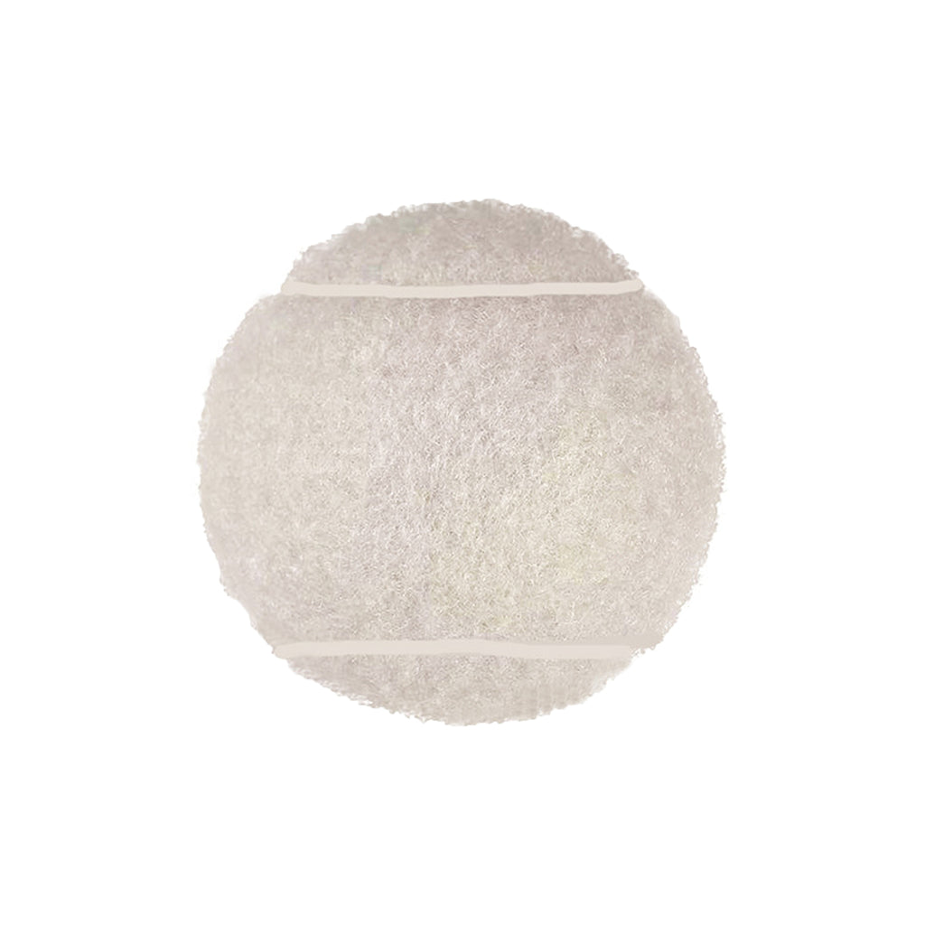 Dog Toy Tennis Balls