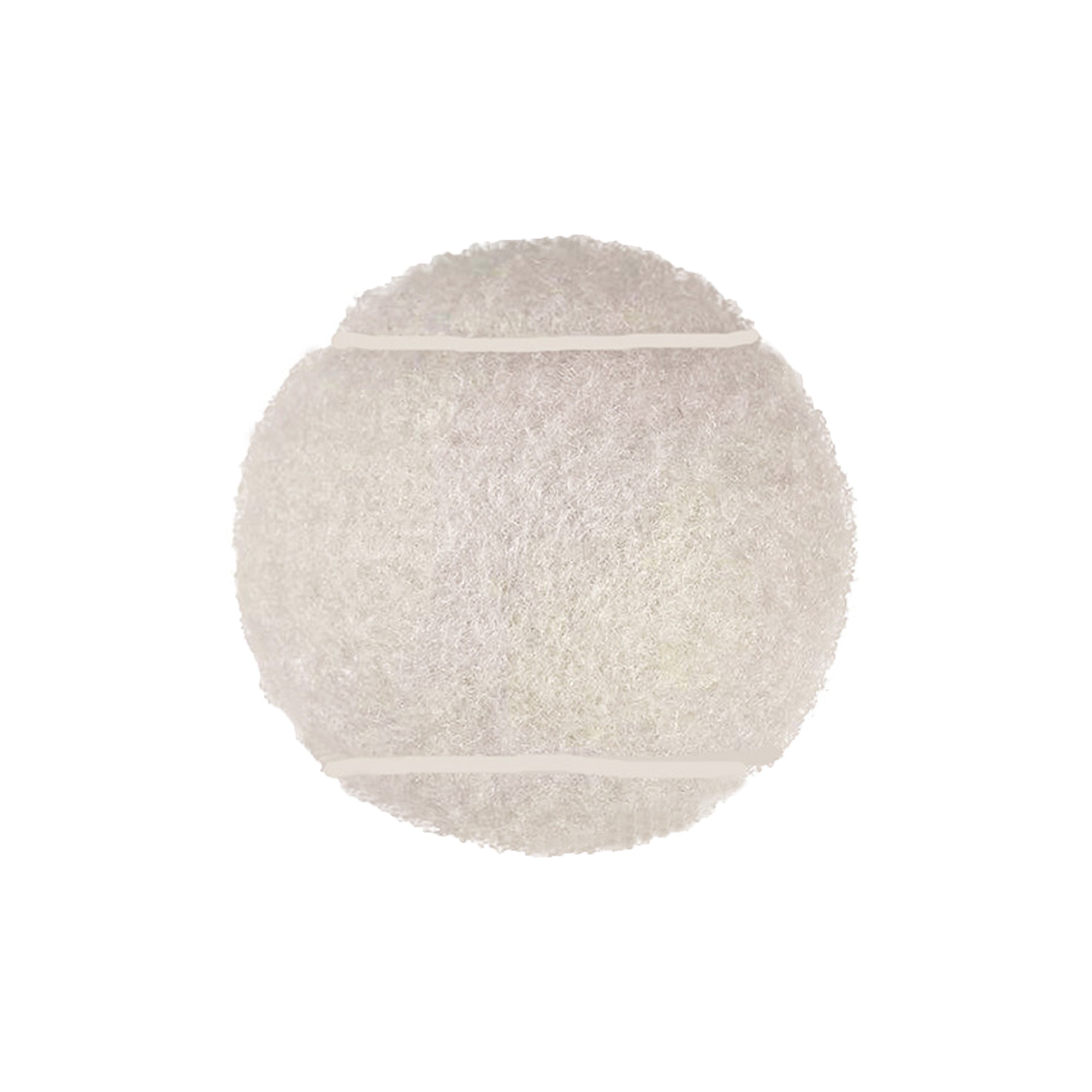 Dog Toy Tennis Balls