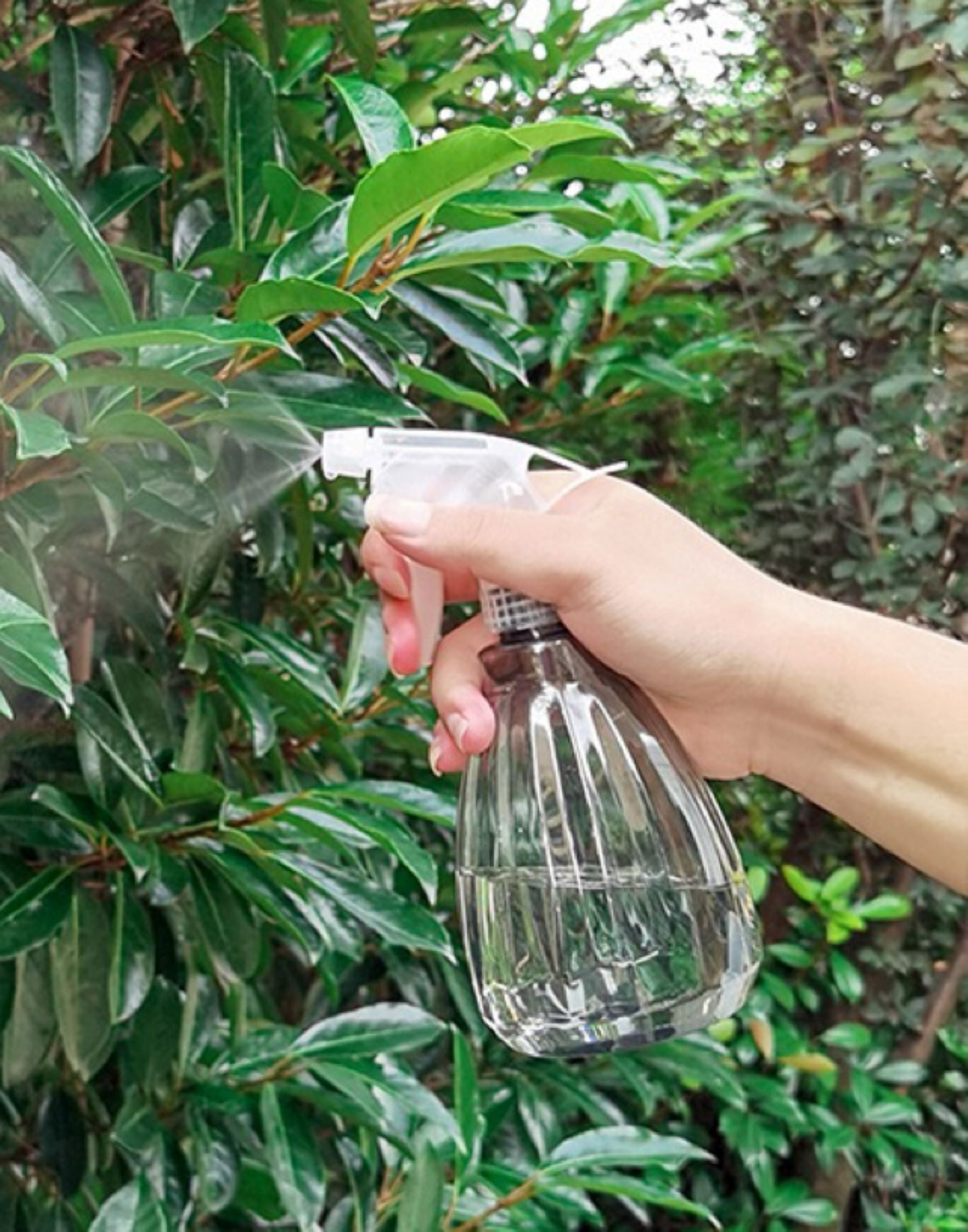18 Oz Small Watering Can