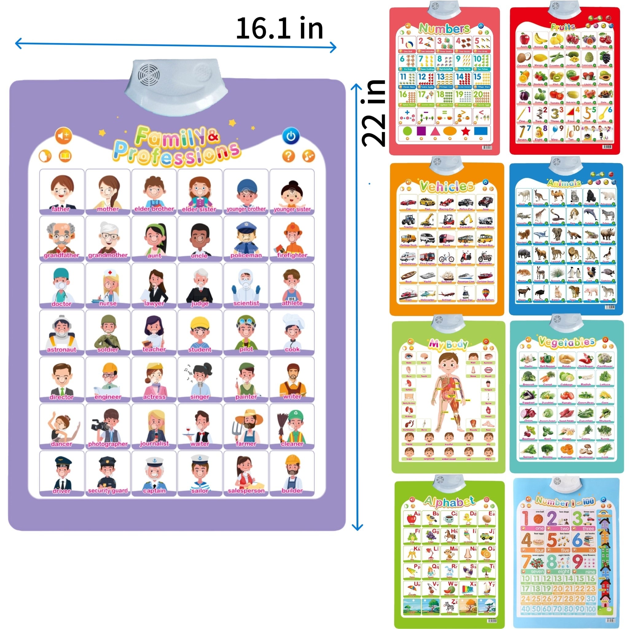 All English Sound Enabled Wall Chart