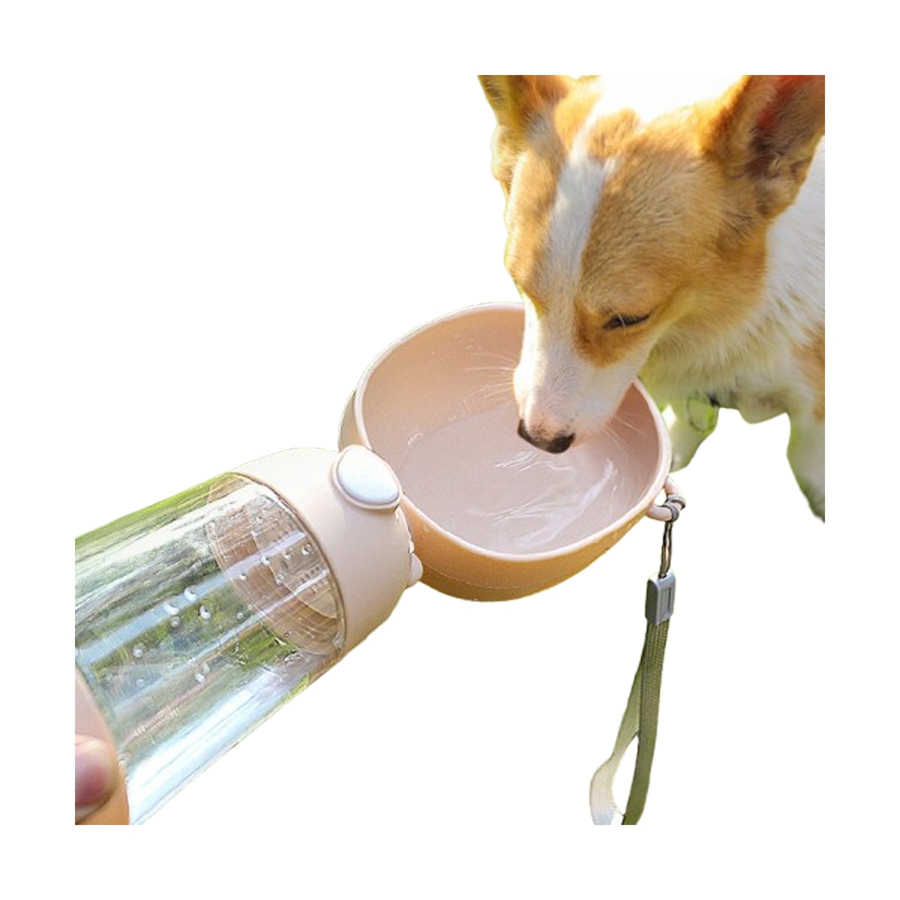 Portable Pet Water Bottle with Food Container