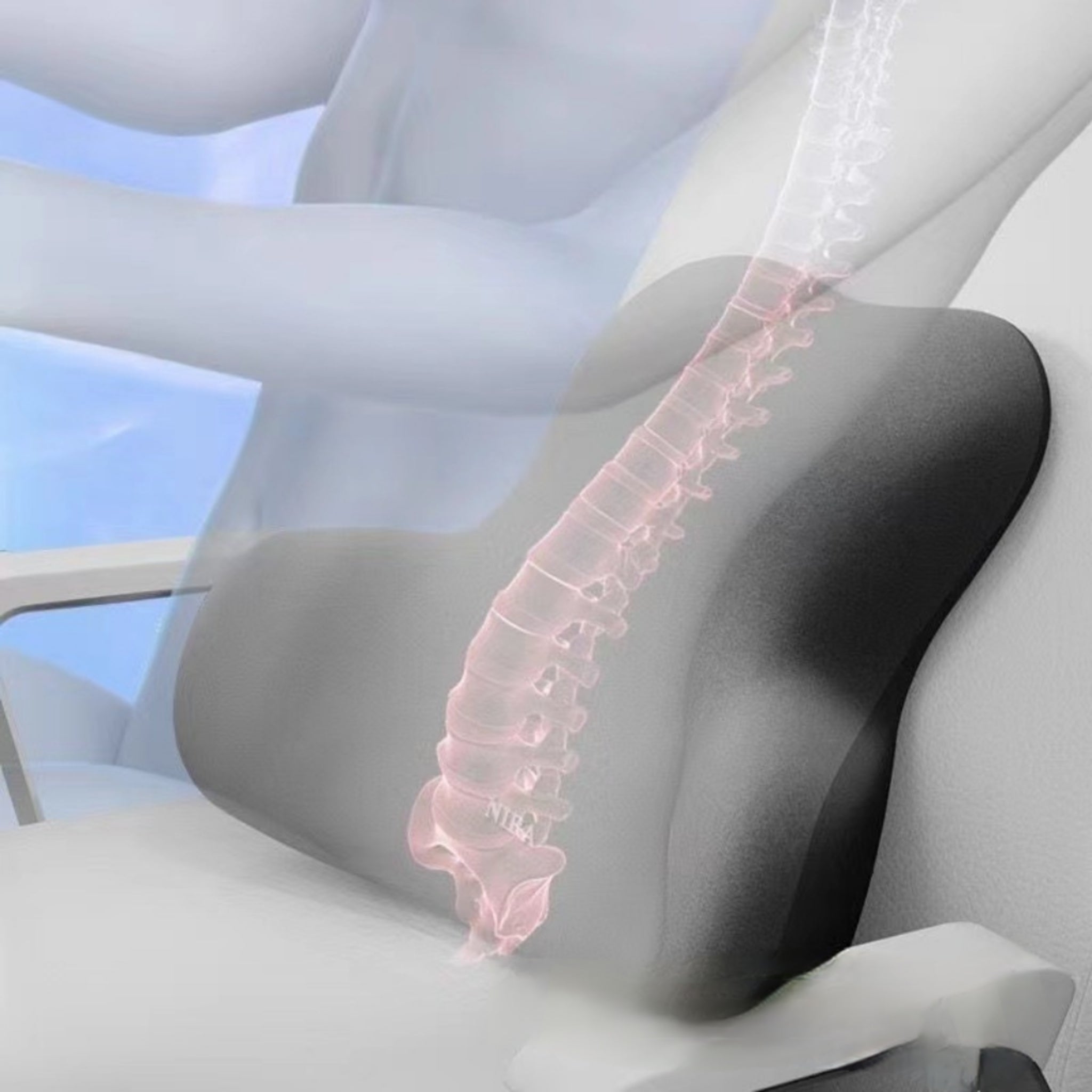Lumbar Support Cushion For Office Chair