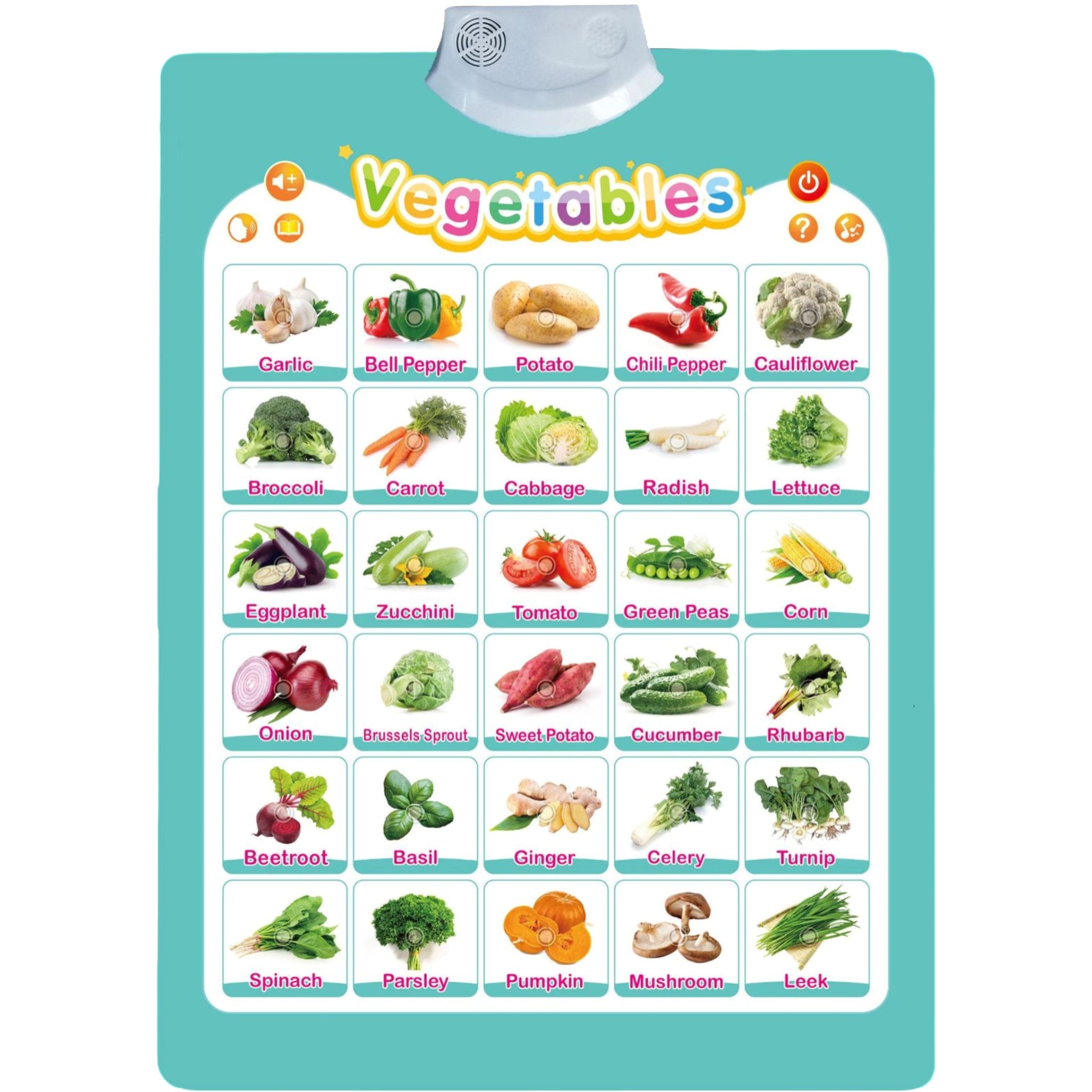 All English Sound Enabled Wall Chart
