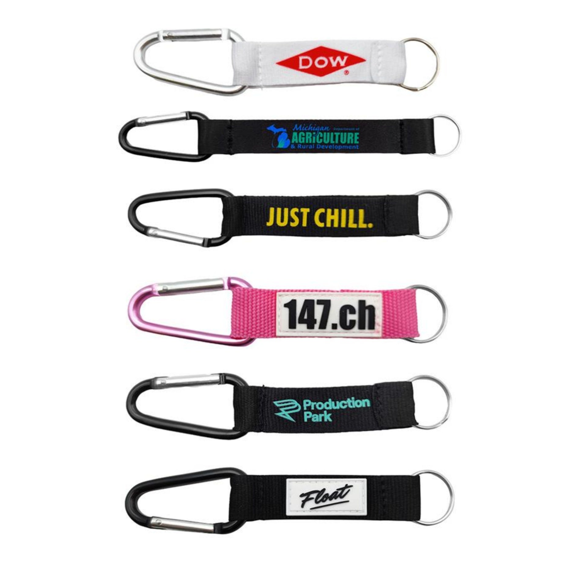 Unisex-Adult Carabiner Lanyard Keychain