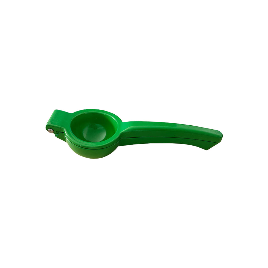 Fruit Juicer