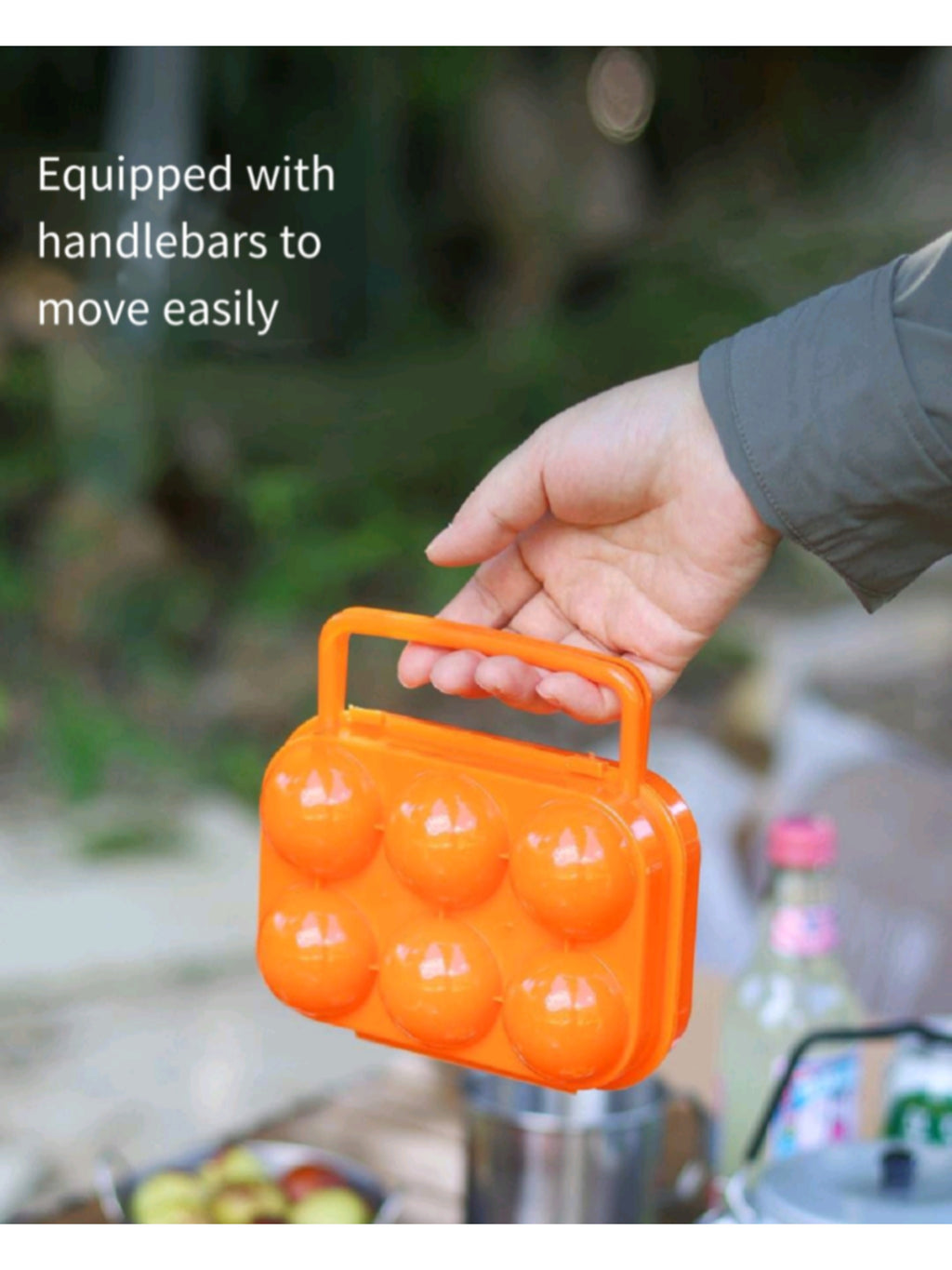 6 Compartments Egg Protector
