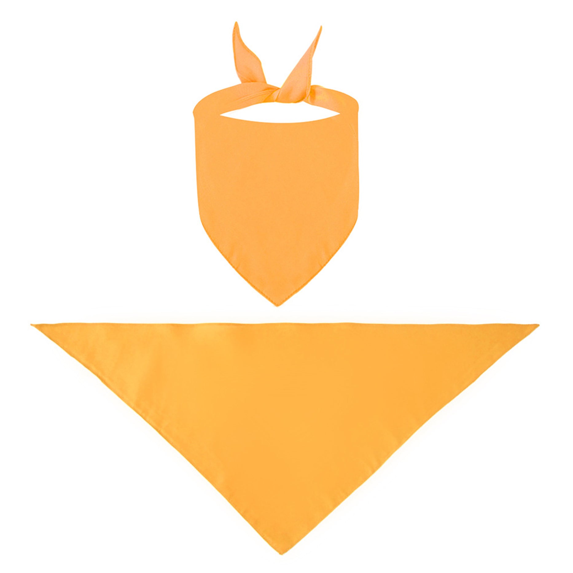 Durable Triangle Pet Bandanas