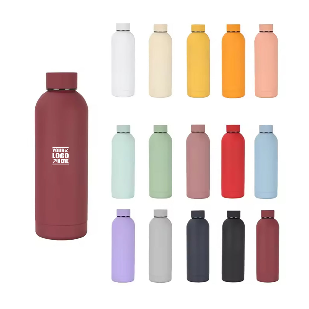 17Oz Frosted Insulated Stainless Steel Water Bottle