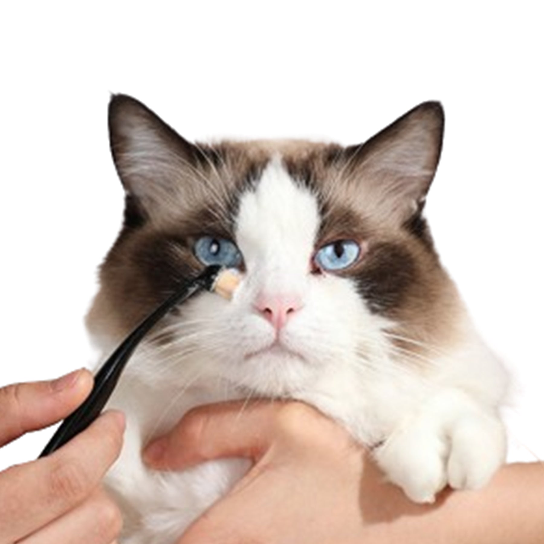 Pet Tear Remover Brush