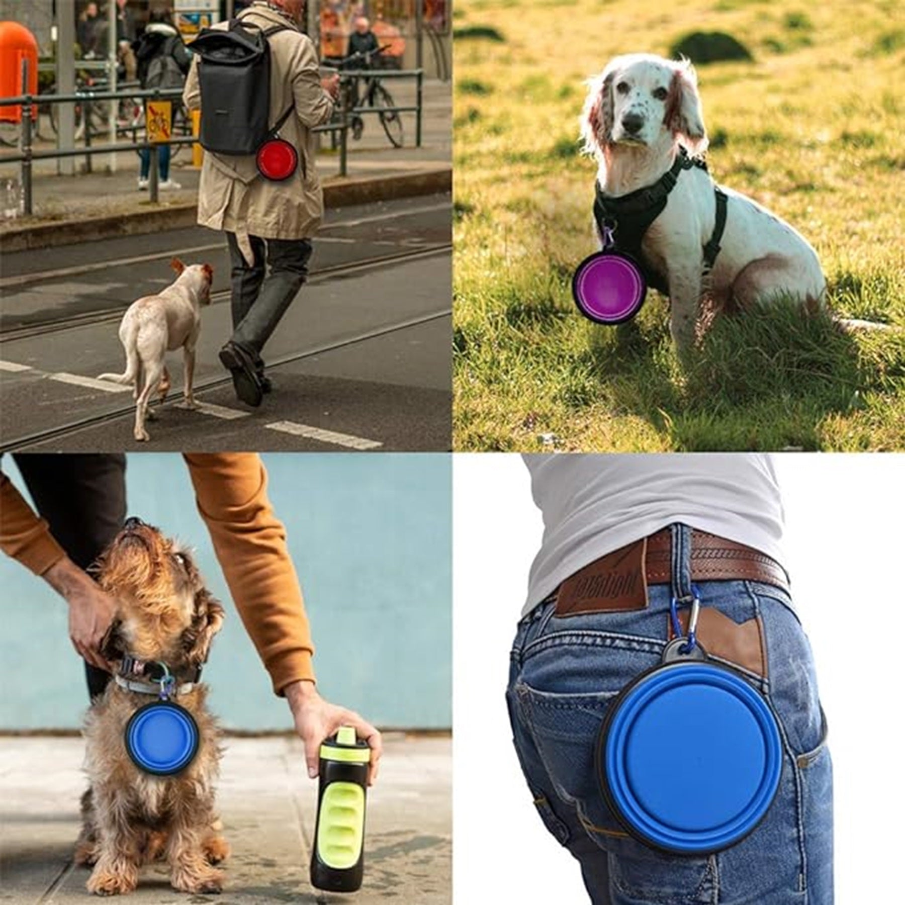 Pet Silicone Anti-Tipping Folding Bowl