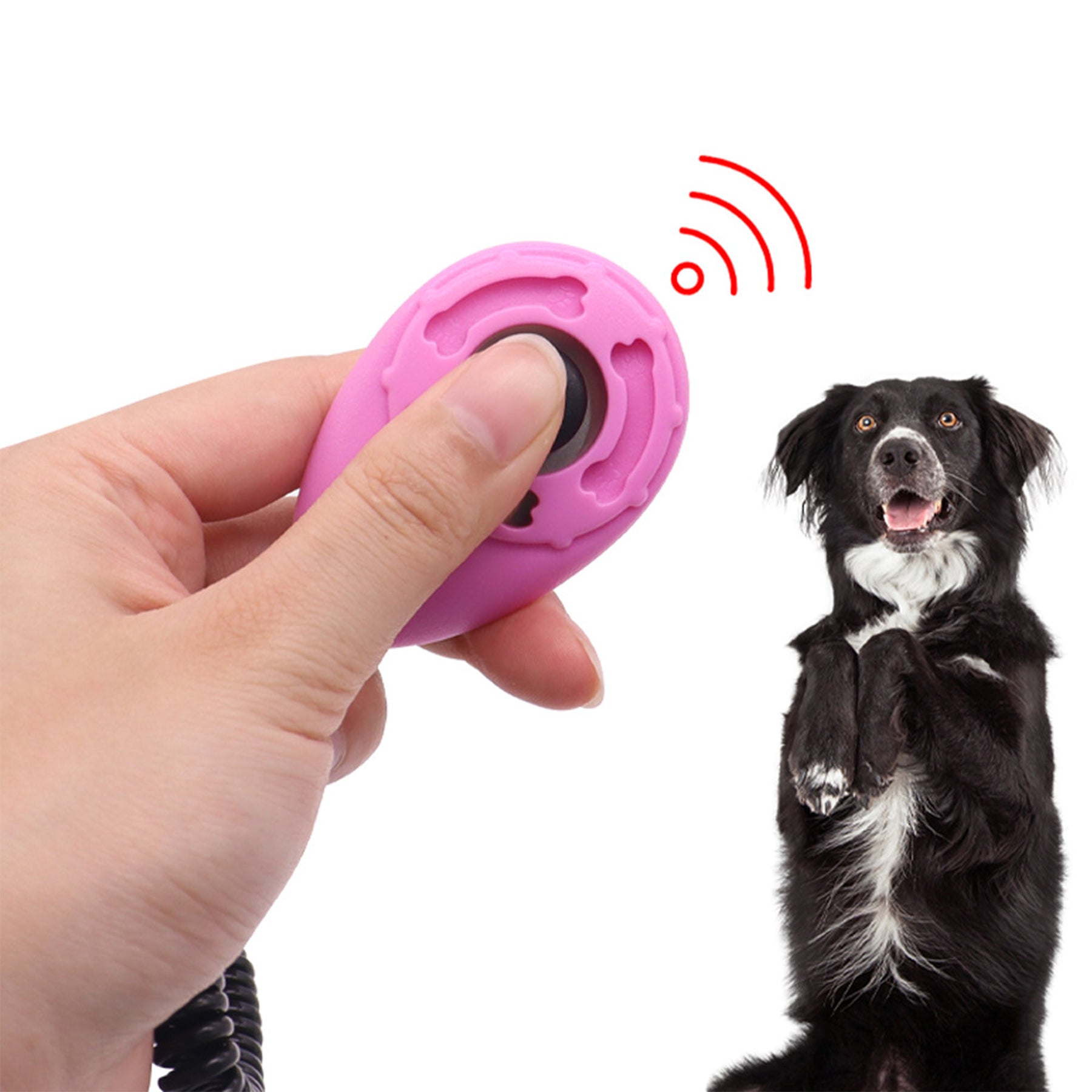 Pet Sound Trainer