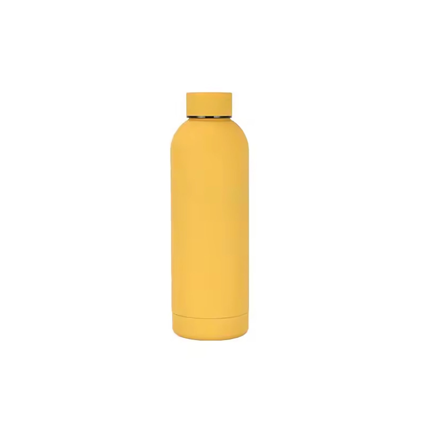 17Oz Frosted Insulated Stainless Steel Water Bottle